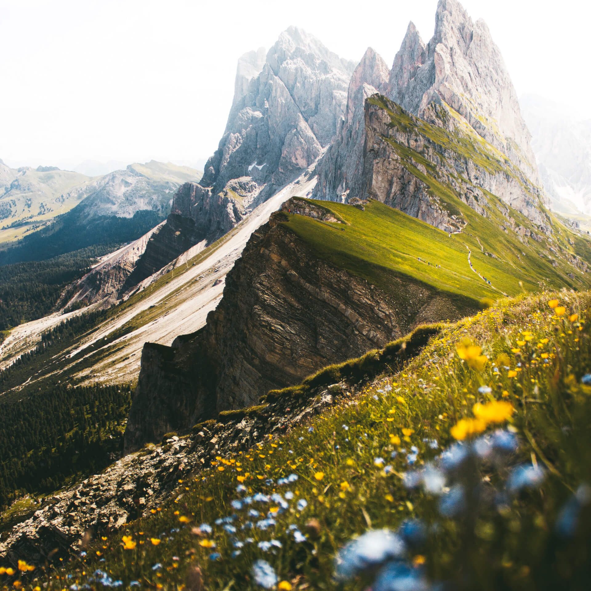 landscape 03.jpg